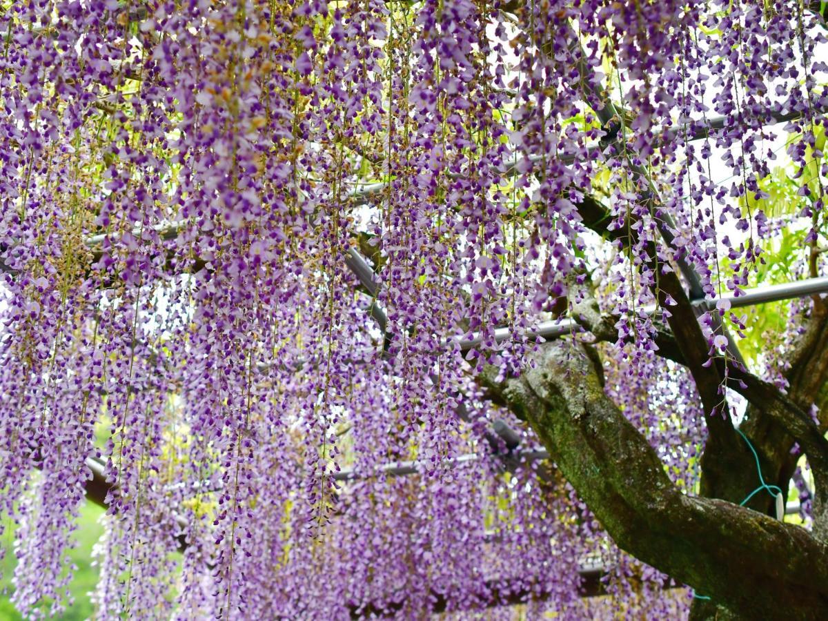 Hotel Tomioka-Ya Fujieda Exteriör bild